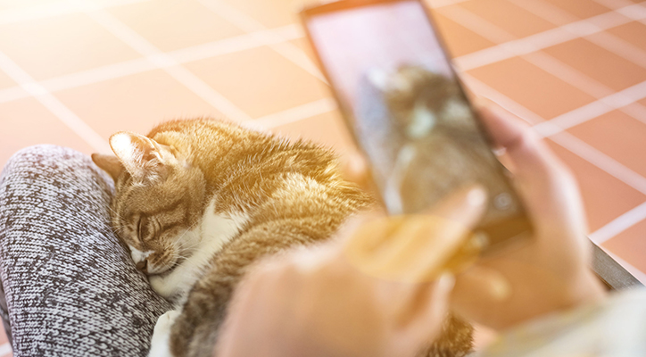 AdobeStock_223467518-scaled AdobeStock_223467518-scaled