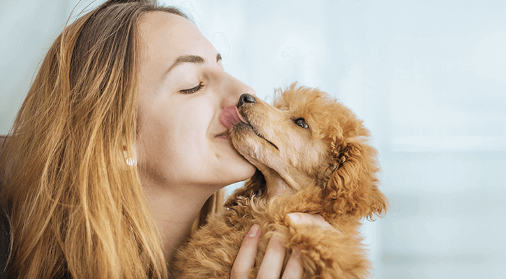 Puppy With Owner